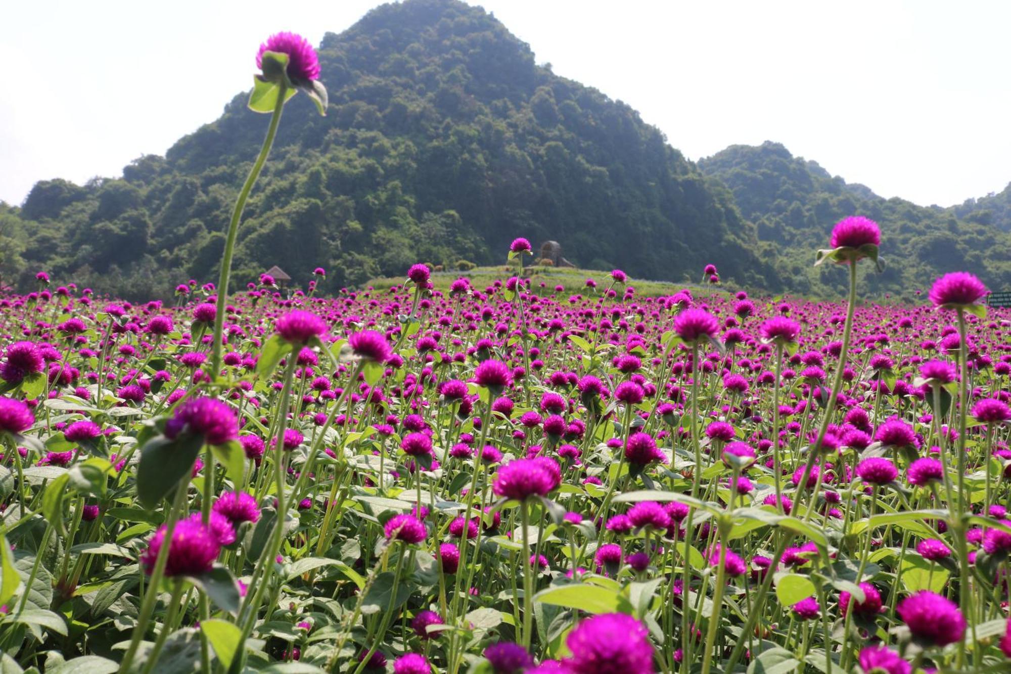 Thung Nham Resort Ninh Binh Exterior foto