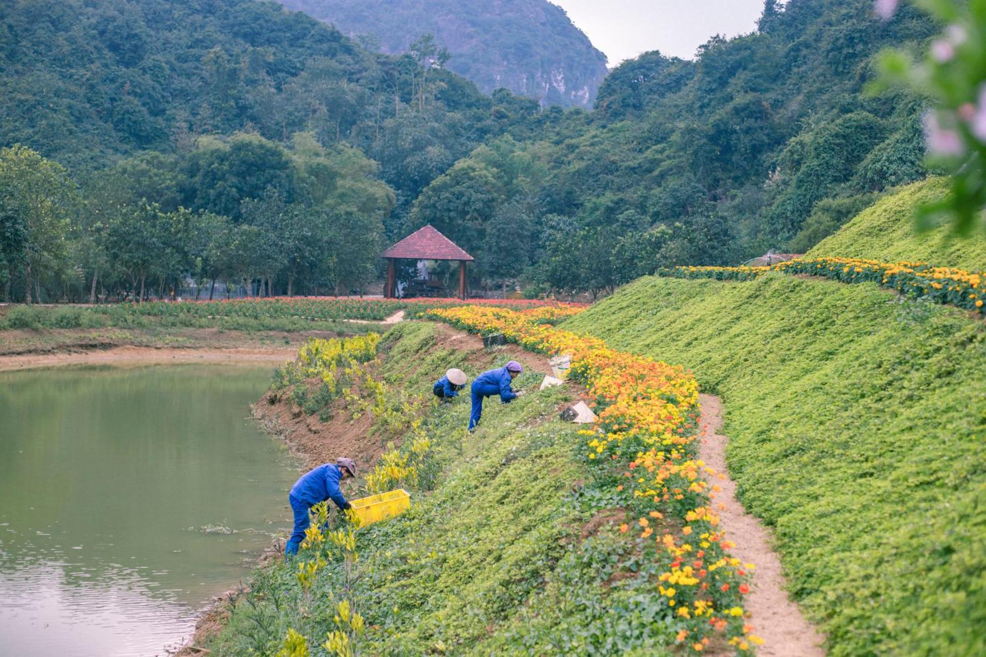 Thung Nham Resort Ninh Binh Exterior foto
